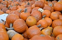 Kids_DALA_10-2014 (95)